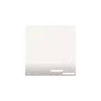 Buy ADA KUMU SA-01 - Branco Sand - 250ml, ADA hardscaping, Best hardscaping, buy Branco Sand
