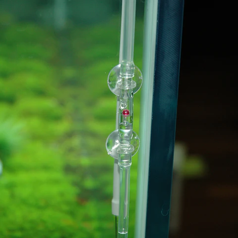 ADA Cabochon Ruby (2025 Model) - Aqua Club