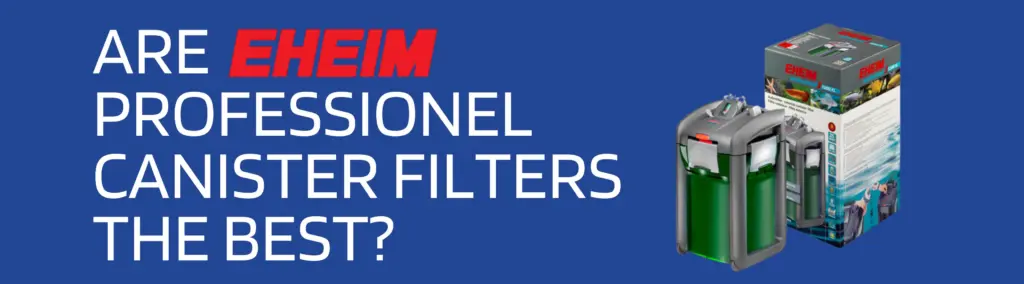 aquarium canister filters, best canister filters India, Eheim canister filter, aquarium filter for large tanks, external aquarium filter, Eheim Professionel 4, Eheim 5e filter, buy aquarium filter online, aquarium filter with heater, best filter for 300L aquarium, silent canister filter.