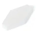 Buy Seachem Duo Algae Pad - Algae Cleaning online, cleaning products for aquarium, algae scrapper