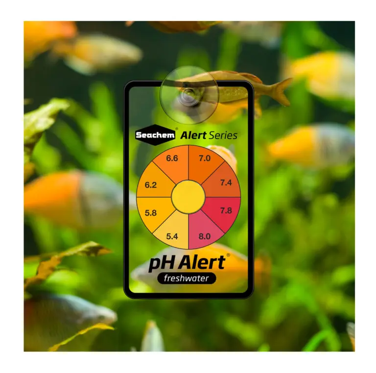 Buy Seachem ph Alert online, ph testing for aquarium, maintain ph, maintain planted aquarium