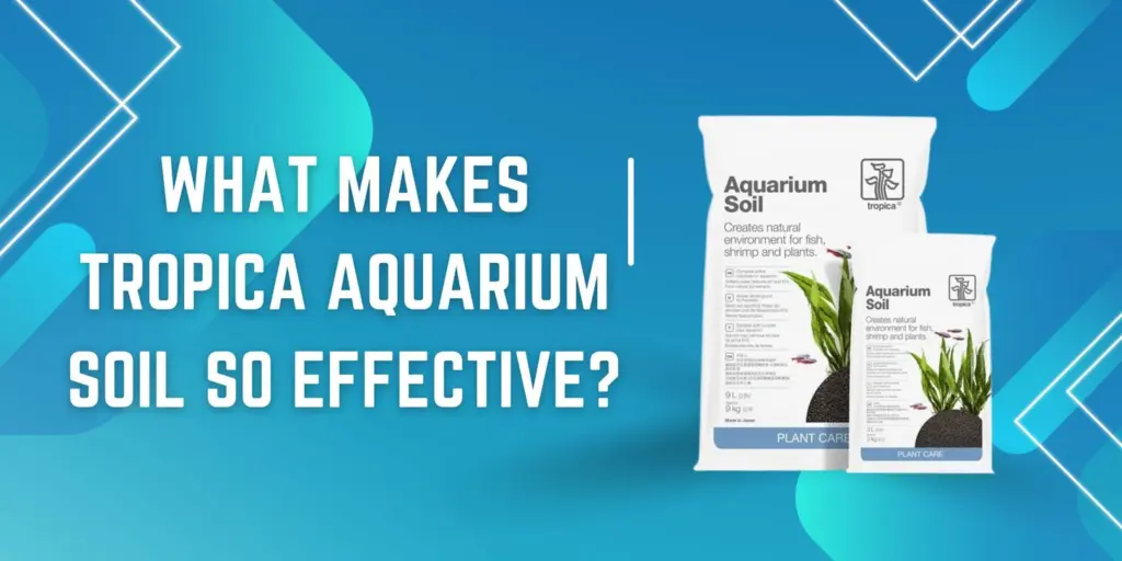 aquarium soil, Tropica aquarium soil, planted tank substrate, best aquarium substrate India, soil for aquarium plants, aquascaping soil, nutrient rich aquarium soil, aquarium base layer, shrimp tank substrate, aquascaping with Tropica, where to buy aquarium soil India