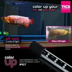 Buy TIKA Colorup 2 Series Aquarium Light, 172cms, Enhances the natural colors of your freshwater fish, making them more vibrant and visually appealing