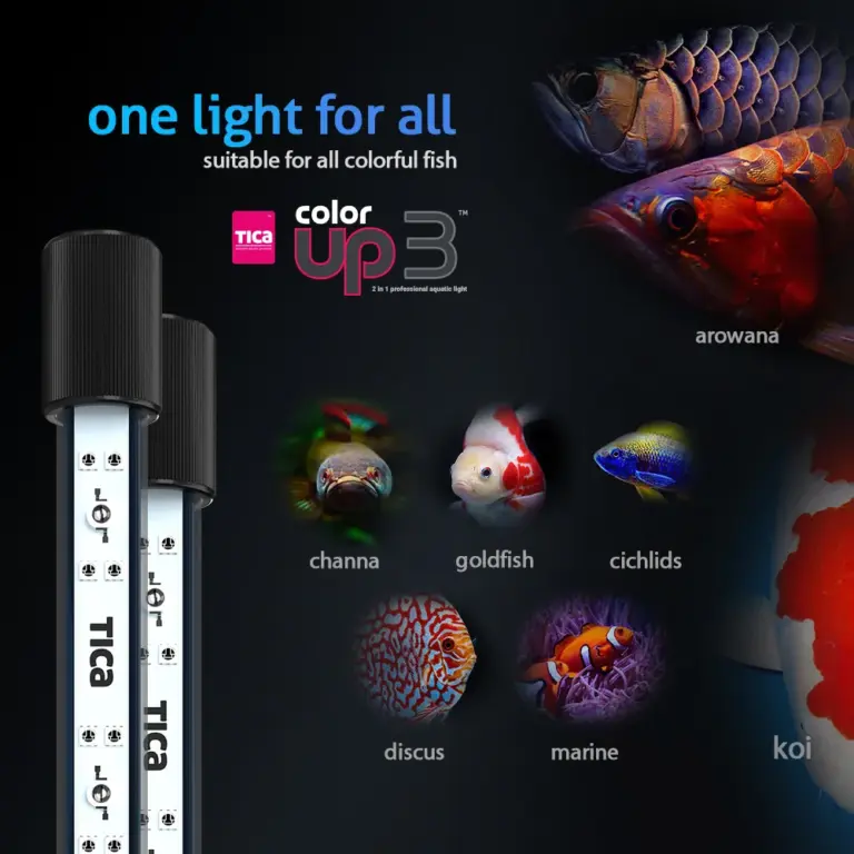 Buy TIKA Colorup 3 Series Aquarium Light, Enhances the natural colors of your freshwater fish, making them more vibrant and visually appealing