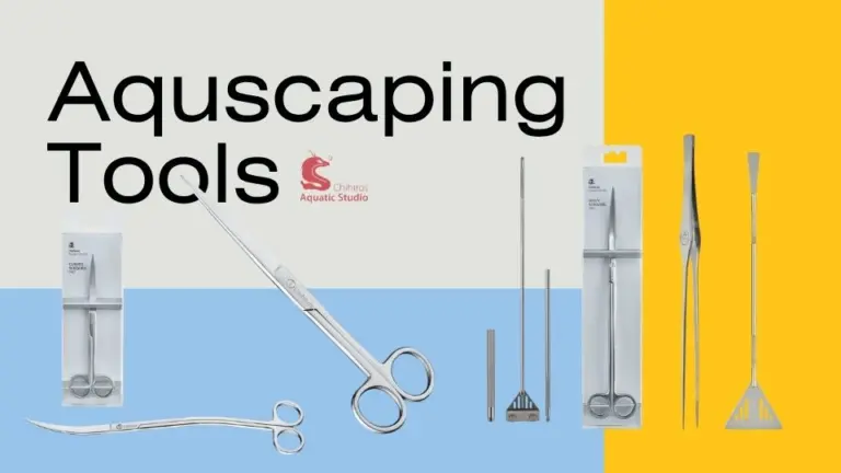 Chihiros aquascaping tools online india