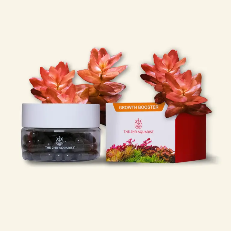 APT Jazz, root tabs, aquarium root fertiliser, planted tank fertilizer, nitrate limitation, ammoniacal nitrogen tabs, clay root capsules, 2Hr Aquarist Jazz, aquatic plant nutrition, algae control fertilizer, substrate fertiliser, slow-release root tabs, crypt plant root tab