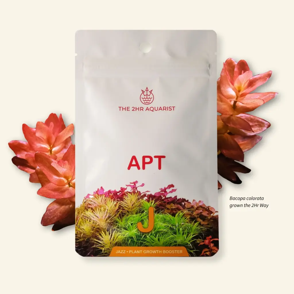 APT Jazz, root tabs, aquarium root fertiliser, planted tank fertilizer, nitrate limitation, ammoniacal nitrogen tabs, clay root capsules, 2Hr Aquarist Jazz, aquatic plant nutrition, algae control fertilizer, substrate fertiliser, slow-release root tabs, crypt plant root tab