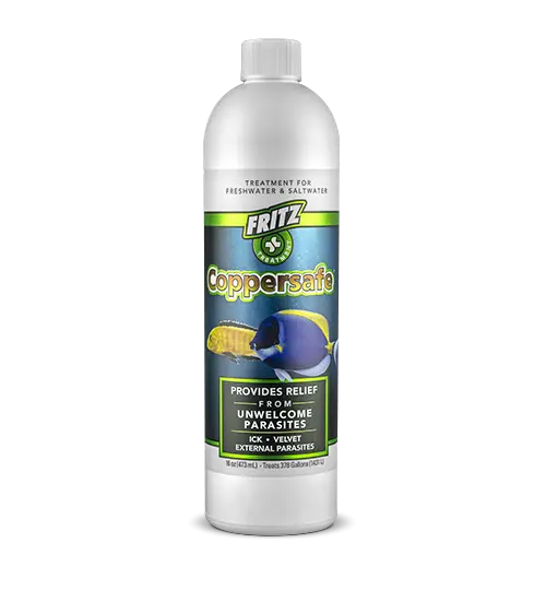 Fritz Coppersafe, chelated copper treatment, ich copper medication, external parasite treatment, copper aquarium medicine, non-staining copper treatment, 4 oz copper solution, freshwater copper treatment, saltwater copper medication, one dose copper treatment
