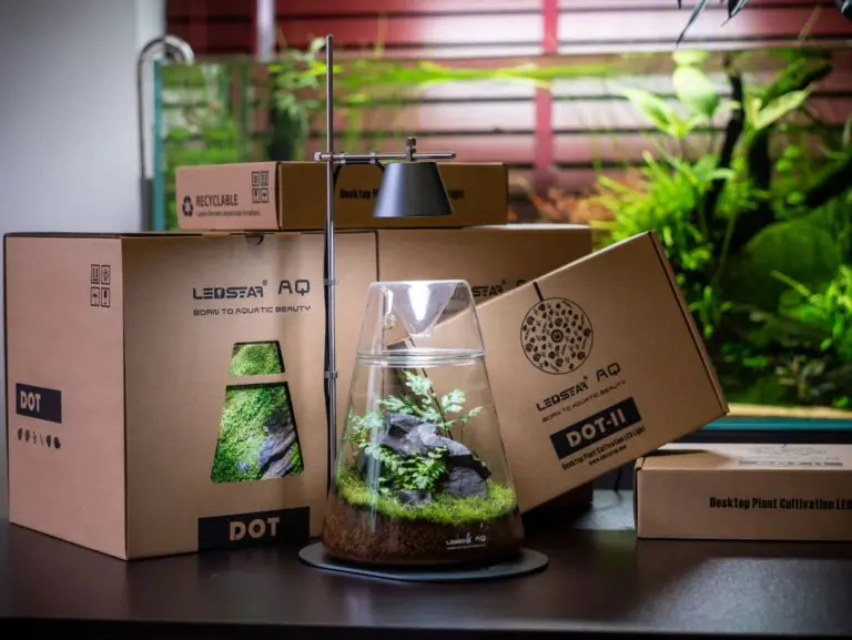 LEDSTAR AQ-DOT Ver2, AQ-DOT II, WRGB nano light, desktop terrarium lamp, USB WRGB plant light, touch control nano LED, dew collection jar light, wabi kusa lamp, 7W USB desktop LED, ecological bottle light, stainless steel plant lamp