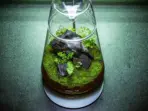 LEDSTAR AQ-DOT Ver2, AQ-DOT II, WRGB nano light, desktop terrarium lamp, USB WRGB plant light, touch control nano LED, dew collection jar light, wabi kusa lamp, 7W USB desktop LED, ecological bottle light, stainless steel plant lamp