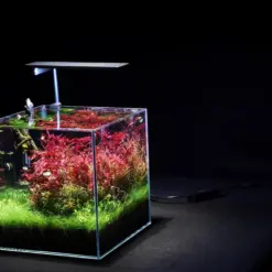 RGBW nano LED, aquarium nano light, LEDSTAR AQ-N II, nano tank LED light, bluetooth aquarium light, full spectrum nano aquarium light, IP68 nano LED, 20cm aquarium light, 45cm nano aquarium light, high CRI aquarium light, planted nano tank LED, aquarium light with app control, AQ STAR app LED, compact aquarium LED