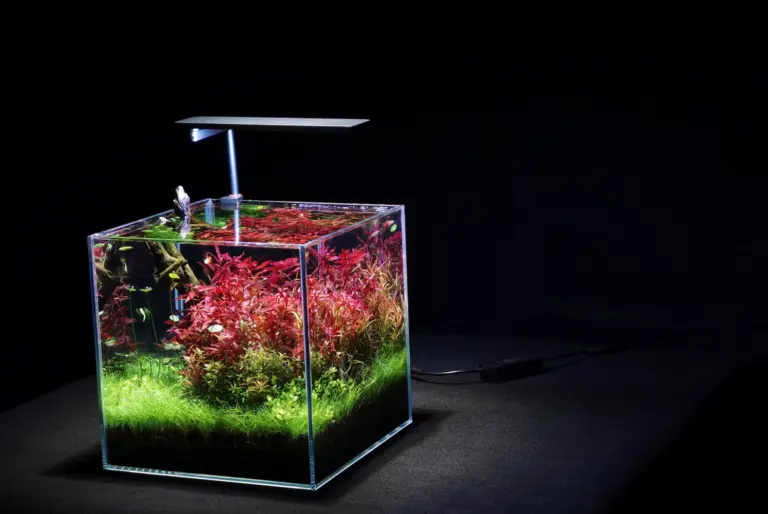 RGBW nano LED, aquarium nano light, LEDSTAR AQ-N II, nano tank LED light, bluetooth aquarium light, full spectrum nano aquarium light, IP68 nano LED, 20cm aquarium light, 45cm nano aquarium light, high CRI aquarium light, planted nano tank LED, aquarium light with app control, AQ STAR app LED, compact aquarium LED