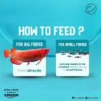 Buy dried black soldier fly larvae, buy dried black soldier fly larvae India, fish food black soldier fly larvae, turtle food dried larvae, reptile food black soldier fly larvae, high protein fish food India, natural reptile food online, calcium rich turtle food, insect-based fish food India, dried soldier fly larvae for birds