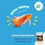Buy dried black soldier fly larvae, buy dried black soldier fly larvae India, fish food black soldier fly larvae, turtle food dried larvae, reptile food black soldier fly larvae, high protein fish food India, natural reptile food online, calcium rich turtle food, insect-based fish food India, dried soldier fly larvae for birds