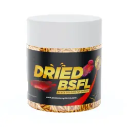 Buy dried black soldier fly larvae, buy dried black soldier fly larvae India, fish food black soldier fly larvae, turtle food dried larvae, reptile food black soldier fly larvae, high protein fish food India, natural reptile food online, calcium rich turtle food, insect-based fish food India, dried soldier fly larvae for birds