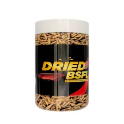 Buy dried black soldier fly larvae, buy dried black soldier fly larvae India, fish food black soldier fly larvae, turtle food dried larvae, reptile food black soldier fly larvae, high protein fish food India, natural reptile food online, calcium rich turtle food, insect-based fish food India, dried soldier fly larvae for birds