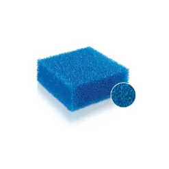 Buy Juwel bioPlus coarse sponge, aquarium biological filter, mechanical filter sponge aquarium, aerobic filtration sponge, BioFlow sponge filter, JUWEL coarse filter media, freshwater filter sponge, saltwater filter sponge, filter sponge for aquarium, chemical-free filter media