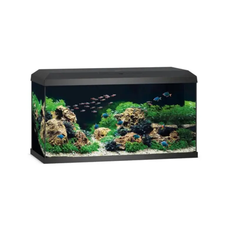 Buy Juwel Primo 110 LED, Novolux LED lighting aquarium, energy-efficient LED aquarium, aquarium with condensation control cover, feeding hatch aquarium, TÜV GS certified aquarium, 110L aquarium, JUWEL automatic feeder compatible, modern aquarium design, compact LED aquarium