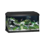 Buy Juwel Primo 60 LED aquarium, Novolux LED lighting, compact LED aquarium, energy-efficient aquarium light, condensation managing aquarium cover, aquariums with feeding hatch, TÜV GS certified aquarium, beginner aquarium setup, small aquarium with LED, JUWEL automatic feeder compatible, high brightness aquarium, efficient aquarium lighting india