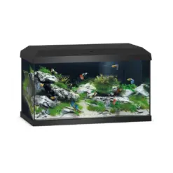 Buy Juwel Primo 60 LED aquarium, Novolux LED lighting, compact LED aquarium, energy-efficient aquarium light, condensation managing aquarium cover, aquariums with feeding hatch, TÜV GS certified aquarium, beginner aquarium setup, small aquarium with LED, JUWEL automatic feeder compatible, high brightness aquarium, efficient aquarium lighting india