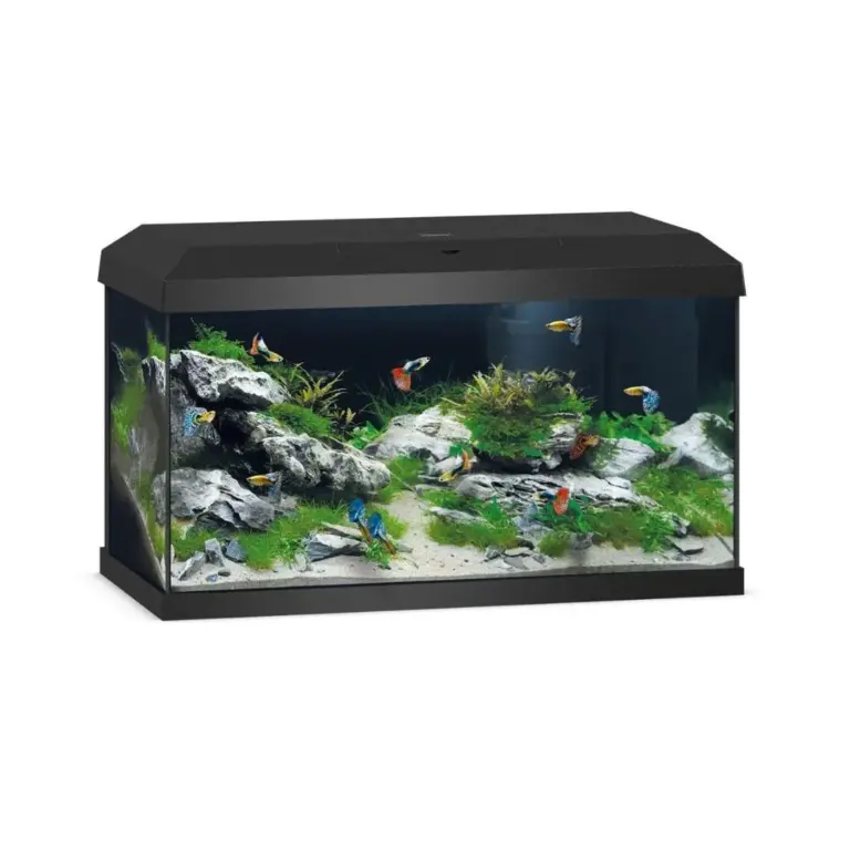 Buy Juwel Primo 60 LED aquarium, Novolux LED lighting, compact LED aquarium, energy-efficient aquarium light, condensation managing aquarium cover, aquariums with feeding hatch, TÜV GS certified aquarium, beginner aquarium setup, small aquarium with LED, JUWEL automatic feeder compatible, high brightness aquarium, efficient aquarium lighting india