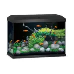 Buy Juwel Primo 70 LED aquarium, Novolux LED lighting, energy-efficient aquarium light, aquarium with feeding hatch, condensation control aquarium cover, TÜV GS certified aquarium, 60 liter aquarium, compact aquarium with LED, JUWEL automatic feeder compatible, modern aquarium design, bright LED aquarium india