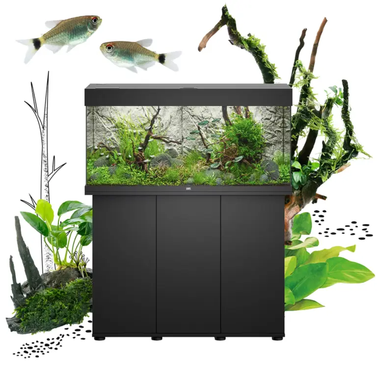 Juwel Rio 125 LED aquarium with stand, MultiLux LED aquarium, complete aquarium set, energy-efficient aquarium lighting, waterproof LED light unit, BioFlow filter system, Eccoflow pump, AquaHeat heater, 125 liter aquarium, aquarium with cabinet, modern aquarium design, German aquarium quality, aquarium storage stand, aquarium filtration system, adjustable aquarium heater