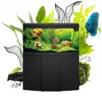 Buy Juwel Vision 180 LED, Vision 180 aquarium with cabinet included, curved glass aquarium, MultiLux LED lighting, BioFlow M filter, Eccoflow 600 pump, 200W aquarium heater, complete aquarium set with cabinet, panoramic aquarium, energy-efficient aquarium, German engineered aquarium, stylish aquarium combination, LED plant-friendly aquarium, aquarium stand included