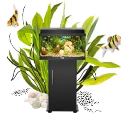 Buy Juwel Primo 60 LED aquarium, Novolux LED lighting, compact LED aquarium, energy-efficient aquarium light, condensation managing aquarium cover, aquariums with feeding hatch, TÜV GS certified aquarium, beginner aquarium setup, small aquarium with LED, JUWEL automatic feeder compatible, high brightness aquarium, efficient aquarium lighting india