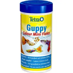 Buy Tetra Guppy Colour Mini Flakes, guppy food India, Tetra Guppy Flakes 30g, color enhancing fish flakes, guppy food for bright colors, small fish flakes India, best food for guppies, Tetra mini flakes for tropical fish, fish food for mollies and endlers, guppy color food online