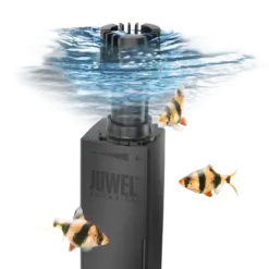 Buy Juwel EccoSkim, surface skimmer aquarium, aquarium surface film remover, organic debris skimmer, aquarium skimmer adjustable, energy-efficient aquarium skimmer, Juwel aquarium accessory, aquarium water clarity, floating aquarium skimmer, easy-install surface skimmer, aquarium oxygen boost india