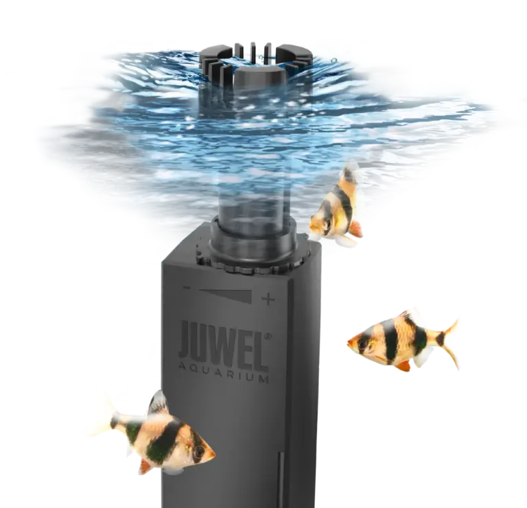 Buy Juwel EccoSkim, surface skimmer aquarium, aquarium surface film remover, organic debris skimmer, aquarium skimmer adjustable, energy-efficient aquarium skimmer, Juwel aquarium accessory, aquarium water clarity, floating aquarium skimmer, easy-install surface skimmer, aquarium oxygen boost india