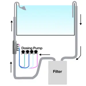 Buy Chihiros Dosing Flow Adapter India, Chihiros dosing pump accessories, Chihiros flow adapter 12/16mm, Chihiros flow adapter 16/22mm, Chihiros aquarium dosing connector, Chihiros dosing integration India, dosing pump hose adapter India, Chihiros nutrient dosing system, Chihiros planted tank accessories India, buy Chihiros dosing flow adapter online India