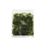 Buy ADA ZP814 Vesicularia montagnei, ADA Taiwan Moss India, ADA Greenhouse Cup plants, ADA aquatic moss India, Taiwan Moss ADA, ADA Vesicularia moss, ADA ZP814 India price, ADA moss for driftwood, ADA aquarium plants India, ADA Nature Aquarium moss