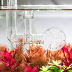 Buy Aquario Neo Flow Premium V2 India, Neo Flow Premium pipe set, 12/16mm aquarium pipe, 16/22mm aquarium pipe, aquascaping premium inlet outlet set, acrylic lily pipe India, planted tank filtration pipes, Aquario Neo Skimmer, Aquario Neo Reliever, aquarium flow system upgrade India