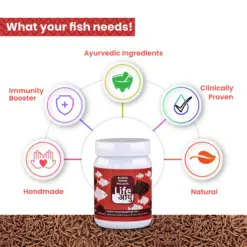 Buy Life Aayu Blood Worm Pellets, bloodworm pellets India, fish treat bloodworms, high protein fish food, floating bloodworm pellets, tropical fish bloodworm food, 45g bloodworm pellets, 90g bloodworm pellets, betta bloodworm pellets, cichlid treat food, aquarium treats India