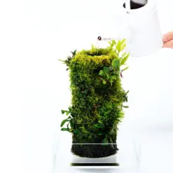 Buy DOOA Terra Base, DOOA Terra Base India, ceramic plant mount terrarium, epiphyte mount for moss, moss tower India, terrarium accessories India, paludarium plant base, vertical ceramic plant holder, DOOA epiphyte base sizes, Terra Base S M L dimensions