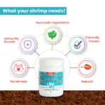 Buy Life AAYU Shrimp Premium, premium shrimp food India, Neocaridina food, Caridina shrimp diet, shrimp molting support food, sinking shrimp pellets, spirulina shrimp food, dwarf shrimp diet, shrimp colour enhancing food, aquarium shrimp food premium