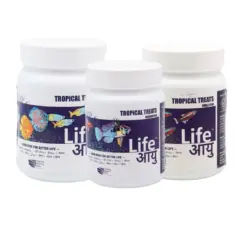 Buy Life AAYU Tropical Treats, tropical fish treat pellets, small medium large fish food, aquarium treat food India, guppy tetra treat food, community fish treat pellets, barbs gourami fish food, low waste aquarium pellets, colour enhancing fish treat, immune boost fish food