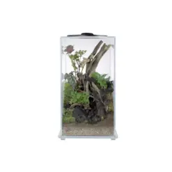 Buy Wabi Kusa Bio Tower 220 India, MyWabiKusa Bio Tower India, Wabi Kusa kit with LED India, terrarium LED display India, planted Wabi Kusa setup India, aquascaping Wabi Kusa tower India, Wabi Kusa glass cylinder India, indoor moss terrarium LED India, buy Wabi Kusa Bio Tower online India