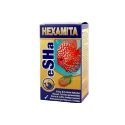 eSHA Hexamita India, Hole in the Head treatment fish, internal parasite medicine aquarium, discus parasite treatment India, cichlid Hexamita cure, Spironucleus fish treatment, planted tank safe medication, eSHA Hexamita for discus, aquarium internal disease cure, fish digestive parasite treatment