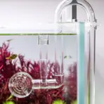 Buy Aquario Neo Flow Premium V2 India, Neo Flow Premium pipe set, 12/16mm aquarium pipe, 16/22mm aquarium pipe, aquascaping premium inlet outlet set, acrylic lily pipe India, planted tank filtration pipes, Aquario Neo Skimmer, Aquario Neo Reliever, aquarium flow system upgrade India