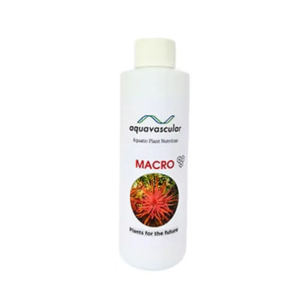 Buy AquaVascular Macro, aquarium macro fertilizer India, NPK liquid fertilizer for aquarium, planted tank macro nutrients, aquarium plant fertilizer 250ml, freshwater plant growth booster, planted aquarium fertilizer India, macro nutrient supplement aquarium, liquid plant fertilizer NPK, aquarium plant root and leaf growth fertilizer
