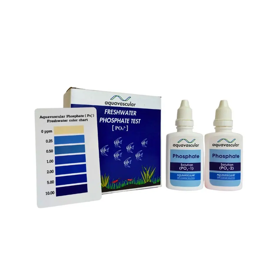 Aquavascular Freshwater Phosphate Test Kit Buy Aquavascular phosphate test kit, freshwater PO4 test, aquarium phosphate tester, planted tank phosphate testing, aquarium nutrient test kit, shrimp tank phosphate test, algae control phosphate test, aquarium water testing India, aquascaping phosphate kit, aquarium liquid reagent PO4 test