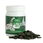 Buy Life AAYU Algae Wafer, pleco algae wafer, sinking wafers for catfish, spirulina algae wafers, bottom feeder fish food India, otocinclus food, pleco wafer diet, plant-based fish wafers, algae eating fish food, aquarium bottom feeder pellets