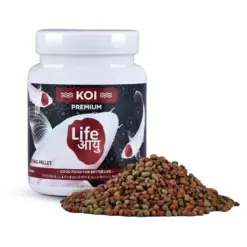 Buy Life AAYU Koi Premium, premium koi fish food India, floating koi pellets, high nutrition koi food, 300g koi premium food, 500g koi food, 1kg koi diet, colour enhancing koi feed, spirulina koi pellets, pond fish food India