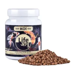 Buy Life AAYU Koi Regular, koi fish food India, floating koi pellets, pond fish food, 300g koi food, 500g koi food, 1kg koi food, wheat germ koi diet, colour enhancing koi food, outdoor pond fish feed