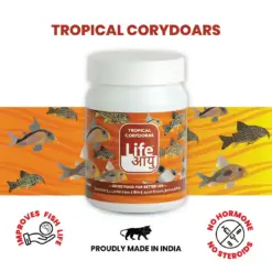 Buy Life AAYU Tropical Corydoras, corydoras sinking pellets, bottom feeder fish food India, micro sinking pellets, loach food, dwarf catfish food, spirulina sinking pellets, tropical bottom dweller food, cory fish diet, aquariumproductsindia fish food