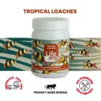 Buy Life AAYU Tropical Loaches, loach sinking pellets, kuhli loach food, clown loach diet, bottom feeder fish food India, tropical loach pellets, spirulina sinking pellets, hillstream loach food, botia fish diet, aquariumproductsindia fish food