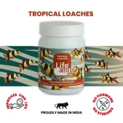 Buy Life AAYU Tropical Loaches, loach sinking pellets, kuhli loach food, clown loach diet, bottom feeder fish food India, tropical loach pellets, spirulina sinking pellets, hillstream loach food, botia fish diet, aquariumproductsindia fish food